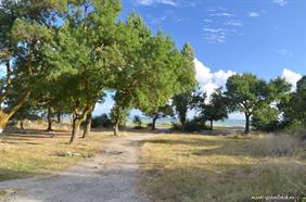 Территория кемпинга "Тонкий мыс"